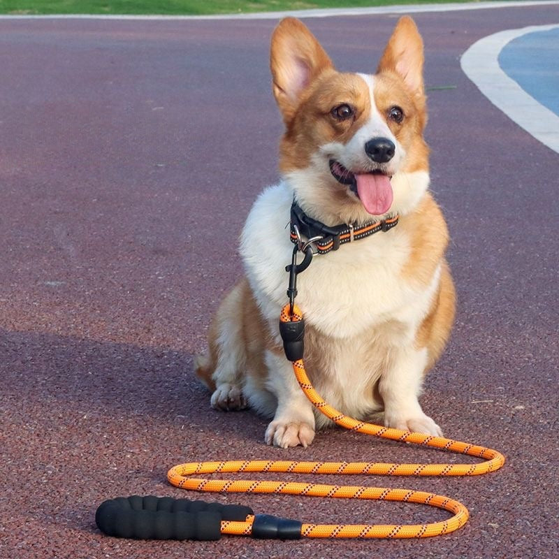 Reflective Adjustable Dog Leash and Collar Set